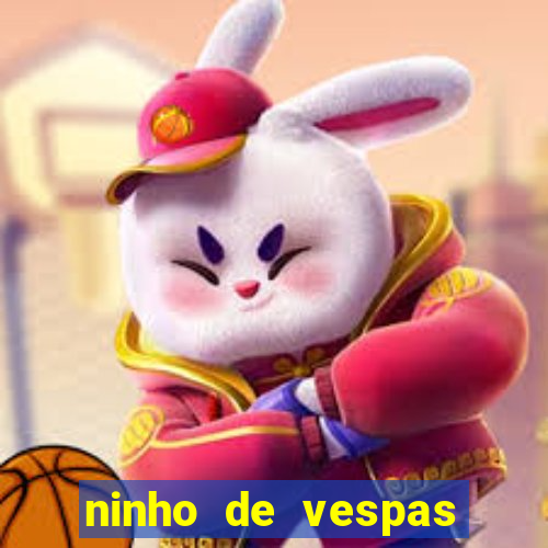 ninho de vespas significado espiritual